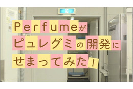 Perfumeが潜入! 限定ピュレグミ「フルーツティー味」開発現場をレポ 画像