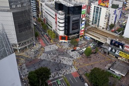 渋谷で芸術祭、音楽祭、新ワークデザインウィーク　2013年秋 画像