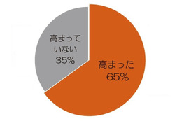 子どものオモチャにびっくり、親もハマる　バンダイ調査 画像