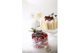 【クリスマス】10周年グランドハイアットのケーキ 画像