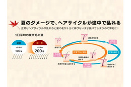 秋は抜け毛の季節！…体に良いことは髪にも良い 画像