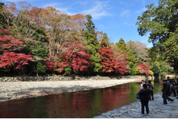 今年も紅葉シーズン到来! 紅葉が美しいオススメ観光スポット 画像