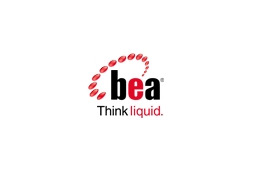 OSいらず? 仮想化環境にチューンされたJavaアプリケーションサーバ——日本BEA 画像