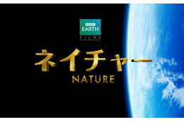 BBC EARTH、4KHD3Dカメラで撮影した迫力ネイチャードキュメンタリー GW公開 画像