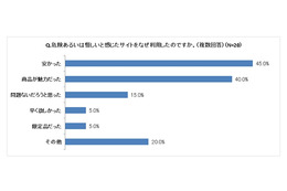 年末年始のネットショッピング、「サイトに危しさを感じた」4割「それでも利用」1割 画像