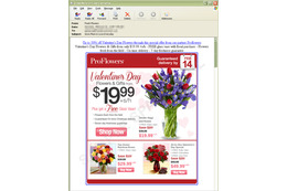 バレンタインに便乗するサイバー攻撃……トレンドマイクロがスパムメールの事例紹介 画像