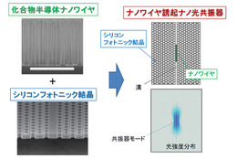 NTT、超小型光デバイス向けの新しい集積技術を開発……チップ内に高密度光ネットを導入可能に 画像