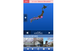 “未来”の桜開花状況もひと目でわかる「さくらシュミレーター」 画像