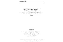 MAM、MCMの概念や仕組みをまとめた利用ガイドベータ版、パブコメも募集 画像