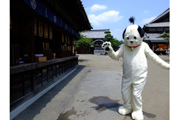 日光江戸村の「ニャンまげ」、さらに猫らしく自分らしく!? 画像