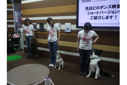 【Interpets 2014 Vol.29(動画)】踊りながらしつけの基礎を!トヨタ、Dog Danceを披露 画像