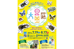 【夏休み】東京スカイツリータウン「大昆虫展」開催中 画像
