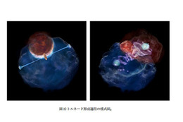 慶應大チーム、謎の宇宙竜巻「トルネード」の駆動メカニズムを解明 画像