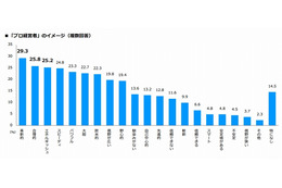 経営者・役員516人が考える「プロ経営者」像……CAREER CARVER調べ 画像