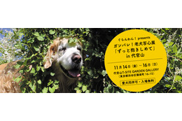 「ガンバレ！老犬写心展」、代官山で開催 画像