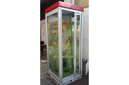 金魚のいる電話ボックスが話題！奈良・大和郡山のびっくりアート!? 画像