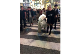 渋谷・新宿に出没したシロクマ、中に“あの有名人”が！ 画像