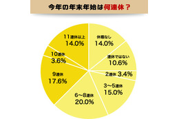 年末年始の過ごし方とお財布事情……今シーズンの売れ筋商品 画像