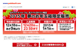 ヨドバシカメラ恒例の福袋、iPad入りで3万円……18日予約開始 画像