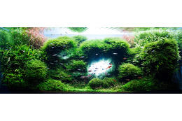 水中の芸術「AQUASCAPE」……エンクレストCM 画像