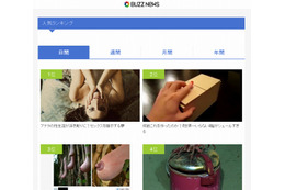 バイラルメディア「BuzzNews」がサービス終了 画像