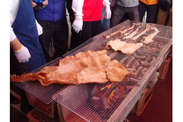 【フォトレポート】編集部員がダイオウイカ試食会に参加！ 画像