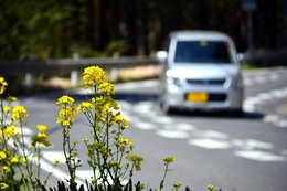 春のお出かけの悩み事「子どもの車酔い」発生メカニズム 画像