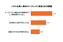 2015年の施策、中小と大企業でギャップ……マーケ担当者350名調査 画像