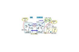 NEC、世界初となるマルチベンダ間における無線IP電話内線通話の実証実験を開始〜日本—シンガポール間で実施 画像