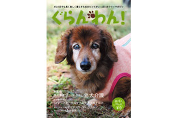 【Interpets 2015 Vol.4】愛犬が表紙に登場するかも!「ぐらんわん」がコンテスト 画像
