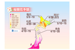 桜前線が東北に、北陸西部は今週末がお花見ラストチャンス 画像