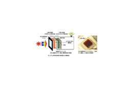 産総研、従来のを上回る光電変換効率11.0％のタンデム型色素増感太陽電池を開発 画像