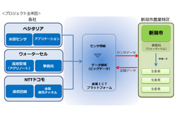 ドコモ、ITで“革新的な稲作農業”めざすプロジェクトに参画 画像