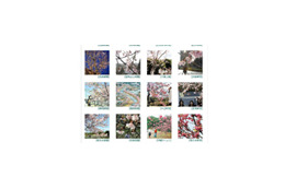 今年の見ごろはいつ? 「ニッポンの桜だより」がスタート 画像
