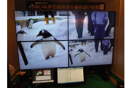 【Interop 2015 Vol.59】神奈川工科大、8K/4K非圧縮画像の多地点マルチレート配信デモ 画像