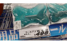 ペットも暑い!?　ペット用涼感グッズが続々店頭に！ 画像