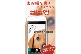 迷子犬を探せる顔認証機能……愛犬をカメラ目線で撮影できるアプリ「dogg.meカメラ」に追加 画像