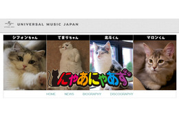 あなたの愛猫が歌手デビュー!? 猫の音楽ユニット・にゃあにゃあずが始動 画像
