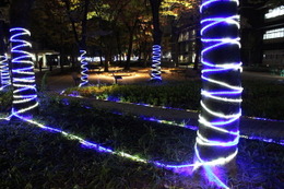 大学キャンパスのクリスマスイルミまとめ! 画像