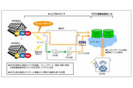 新潟でチューリップの切花栽培にICT活用!環境分析を自動化 画像