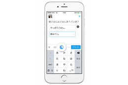 Twitter、二択式の「投票」機能を追加へ 画像