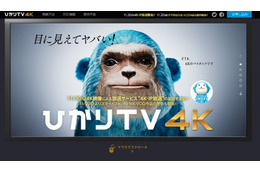 ひかりTV、今月末より4K-IP放送をスタート……2チャンネルを開局
