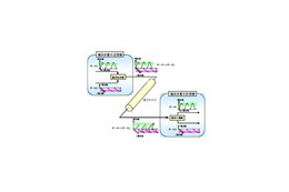 KDDI研究所、光OFDMを利用した100Gbps信号の長距離伝送実験に成功 画像