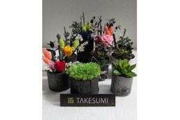 日本の竹炭で地方創生、インバウンド&森林保護のTAKESUMI 画像