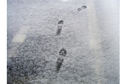 都心で積雪、交通機関に乱れ 画像