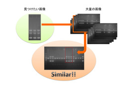 画像の不正転用を検出！学術論文用の類似画像検出システムを開発 画像