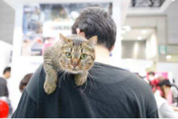 【プレゼント】ペット関連産業の大規模イベント「Interpets」招待券を10組20名に! 画像