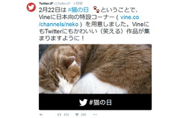 2月22日は「猫の日」……Amazonがショップ開設、Vineは特設コーナー 画像