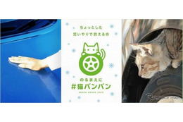 クルマの下の猫に注意！……日産が全国一斉猫バンバン調査 画像