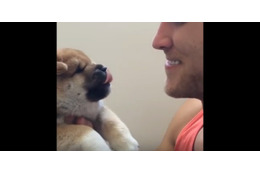 飼い主を舐め返したい子犬!でも… 画像